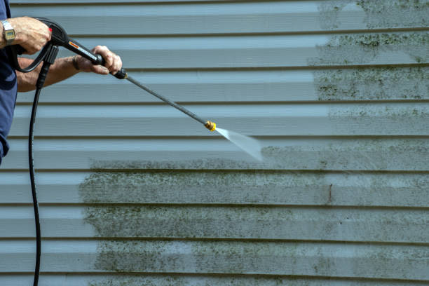 Local Pressure Washing Services in Drain, OR