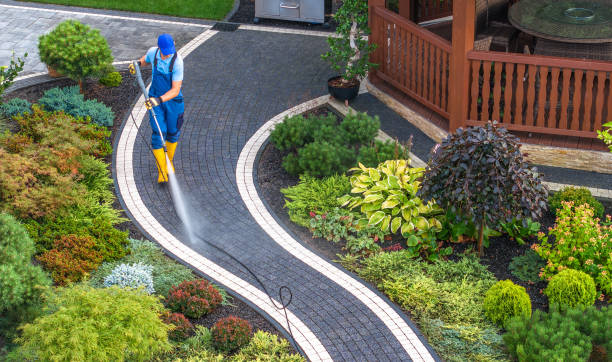 Best House Pressure Washing  in Drain, OR